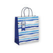 Picture of DISTRESSED BLUE STRIPES BAG